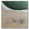 Tableau - Coastal