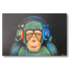 Tableau - Monkey Sound
