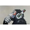 Tableau - Big Monkey Class