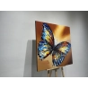 Tableau - Butterfly