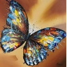 Tableau - Butterfly