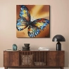 Tableau - Butterfly